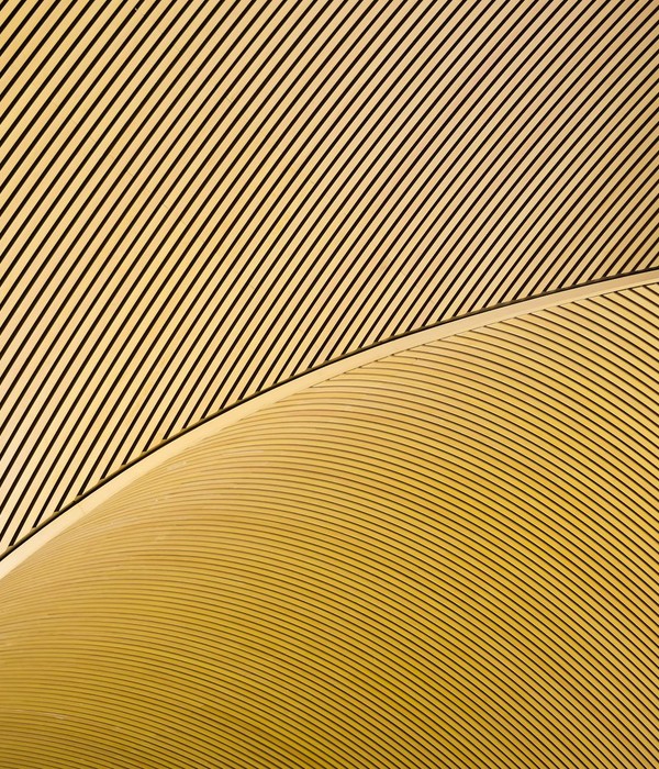 Elegant abstract pattern of curved gold lines creating a modern and sleek design.